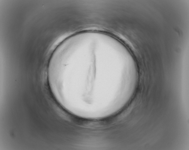 X0000113641367200910162028