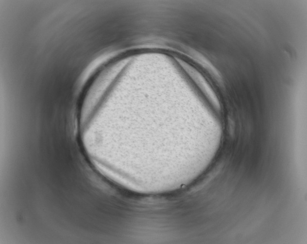 X0000113641368200910162028