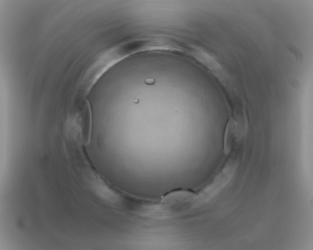 X0000113641369200910162028