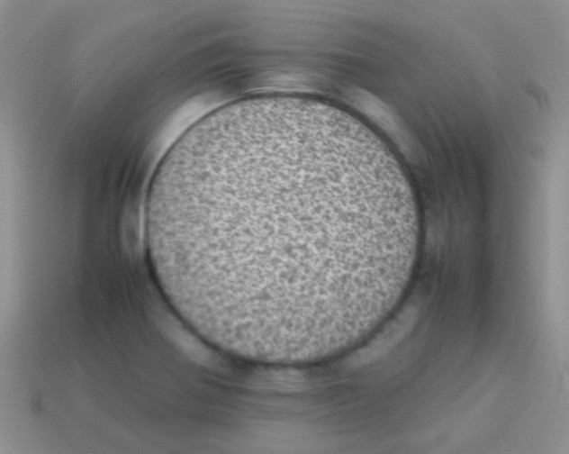 X0000113641370200910162028