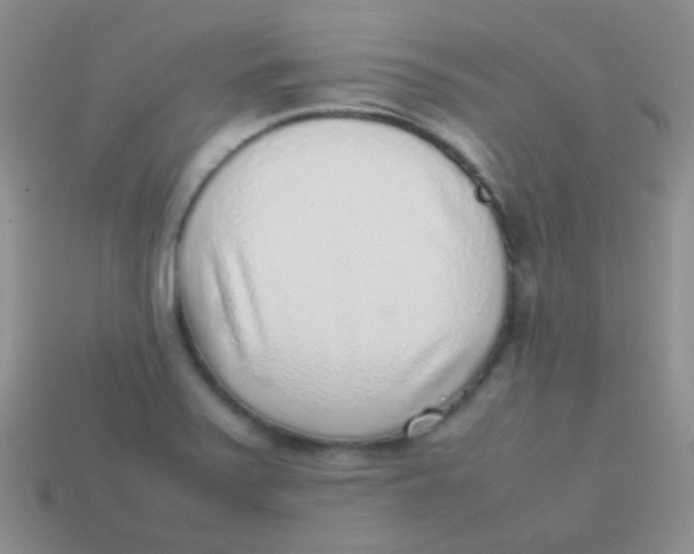 X0000113641371200910162028