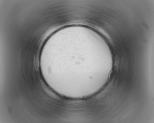 X0000113641372200910162028