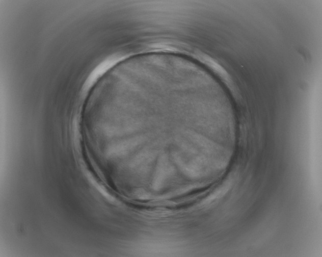 X0000113641373200910162028