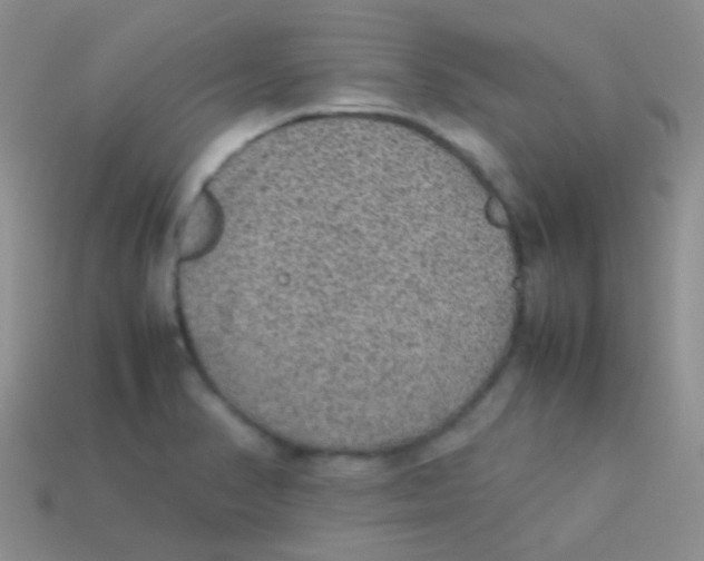 X0000113641374200910162028