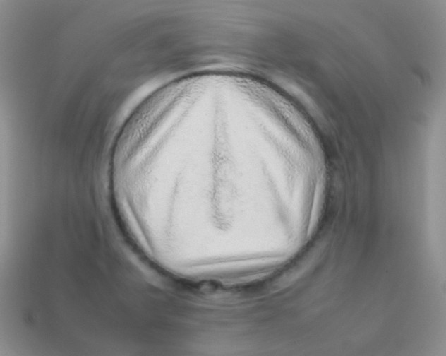 X0000113641375200910162028