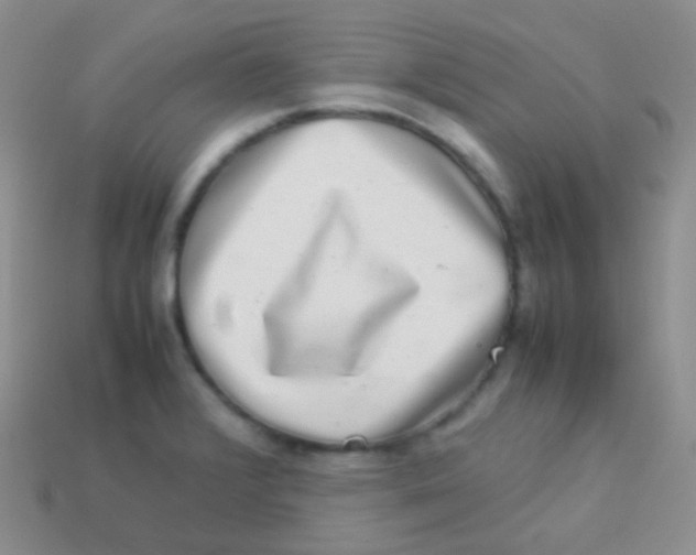 X0000113641376200910162028