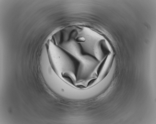 X0000113641377200910162028