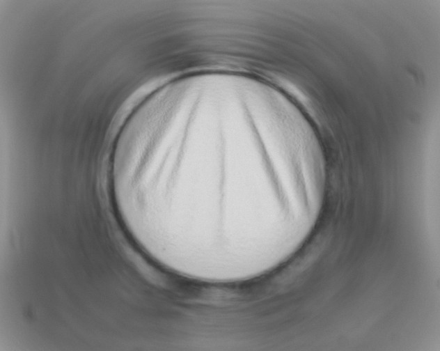 X0000113641379200910162028