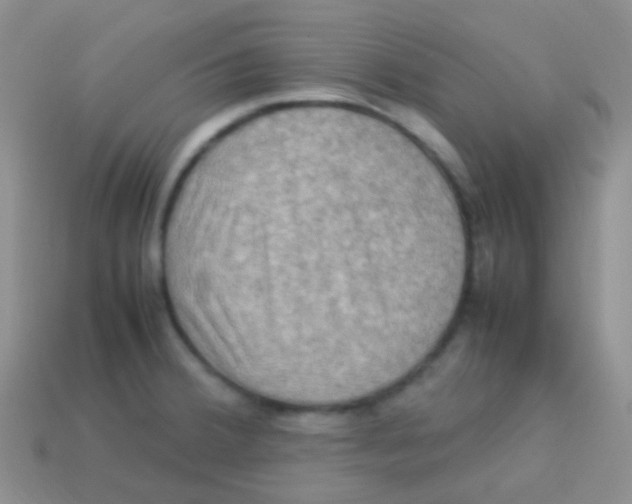 X0000113641380200910162028