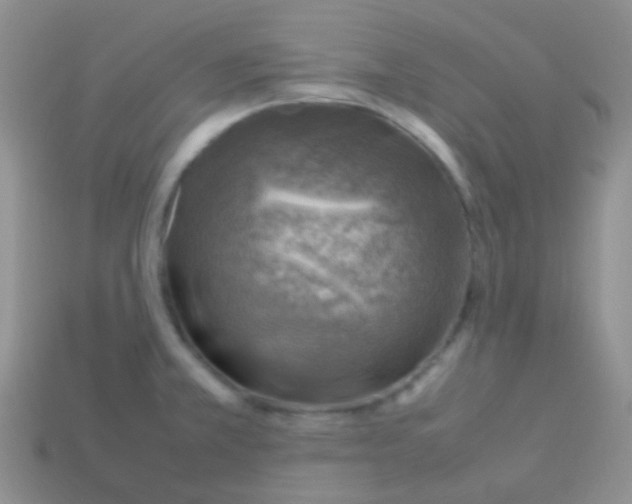 X0000113641381200910162028