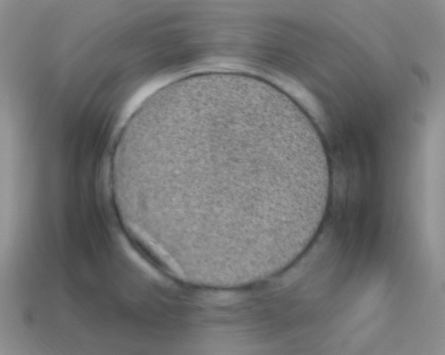 X0000113641382200910162028