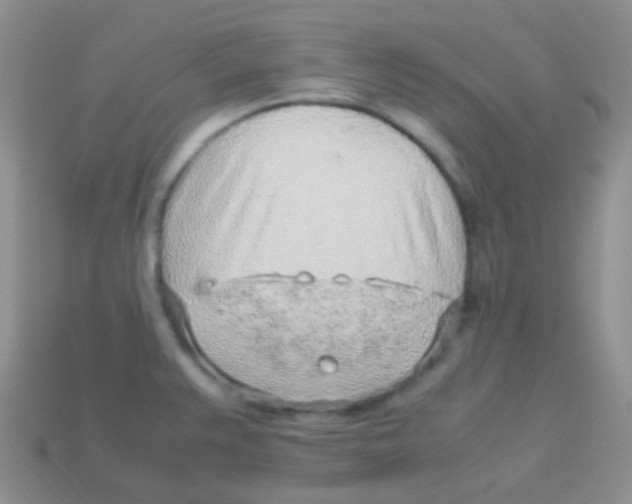 X0000113641383200910162028