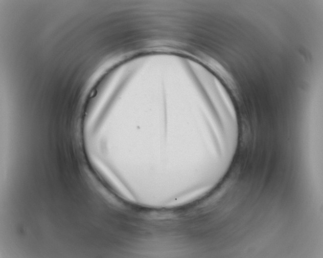 X0000113641384200910162028