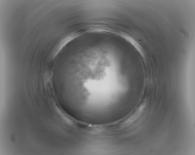 X0000113641385200910162028