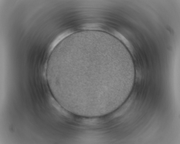 X0000113641386200910162028