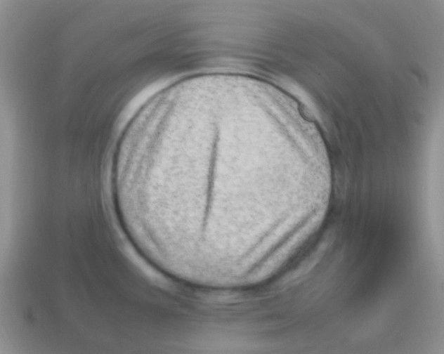 X0000113641387200910162028