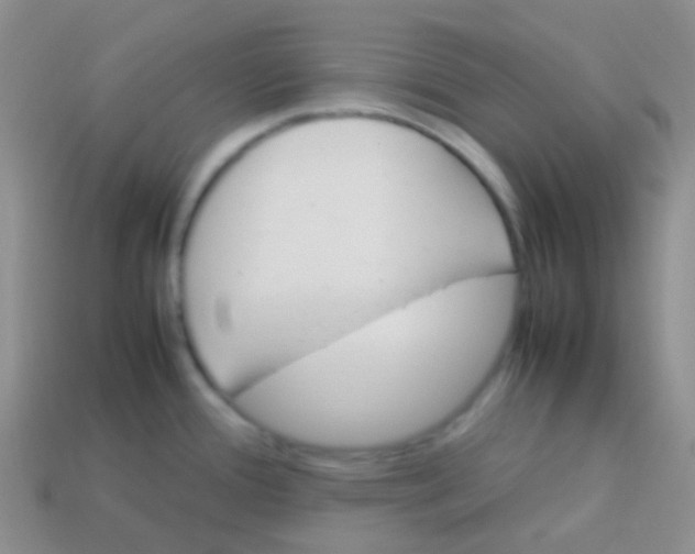 X0000113641388200910162028