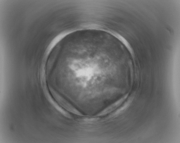 X0000113641389200910162028