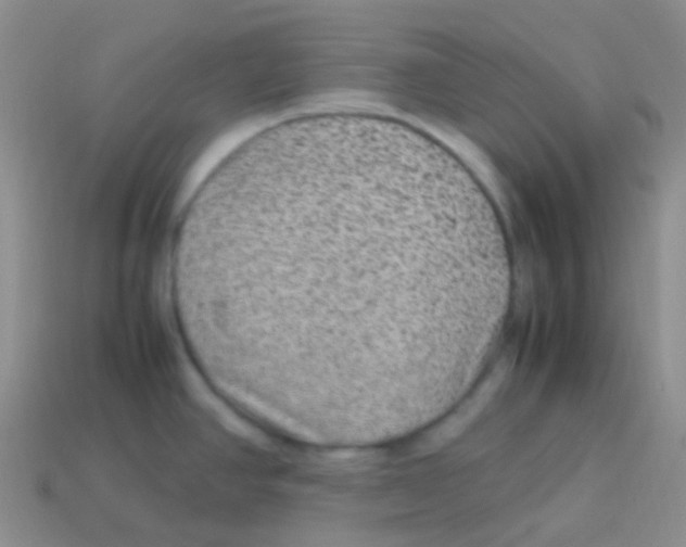 X0000113641390200910162028