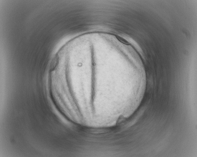 X0000113641391200910162028