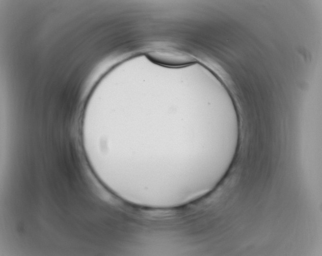 X0000113641392200910162028