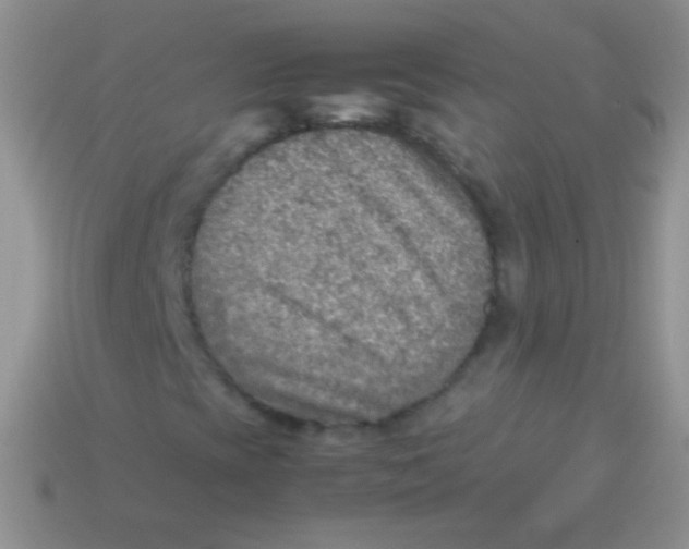 X0000113641393200910162027