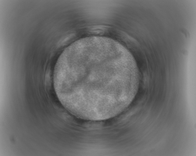 X0000113641394200910162027