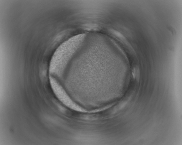 X0000113641396200910162027