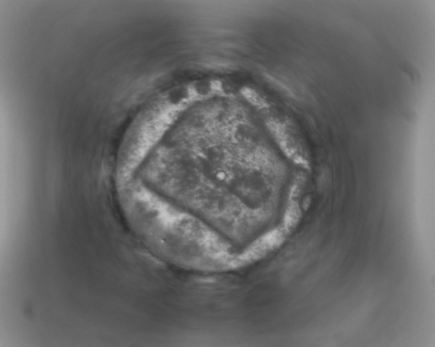 X0000113641397200910162027