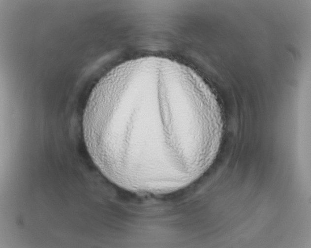 X0000113641398200910162027