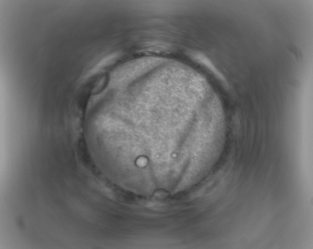 X0000113641399200910162027