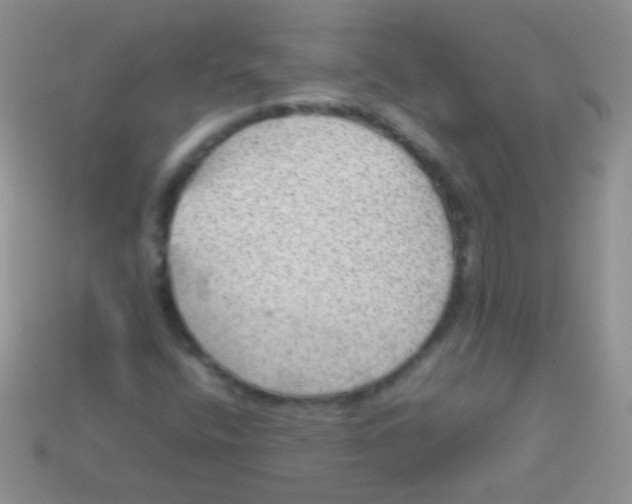 X0000113641400200910162027