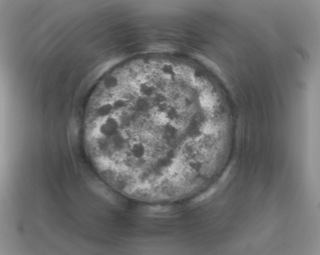 X0000113641401200910162027