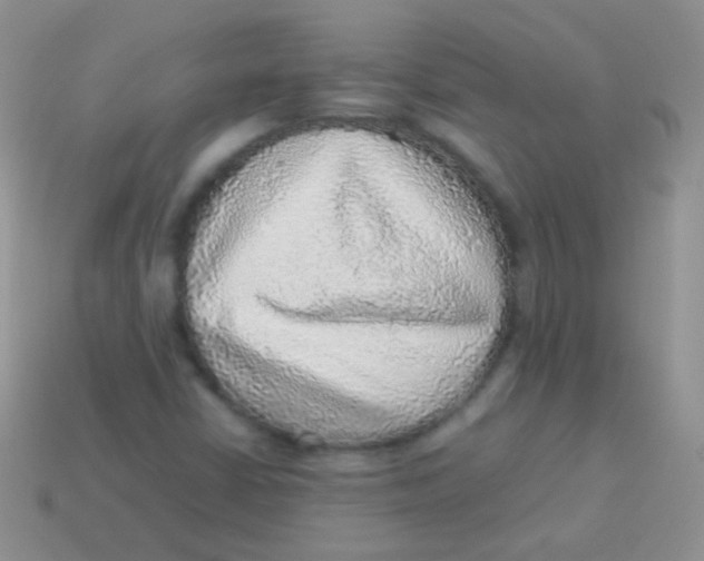 X0000113641402200910162027