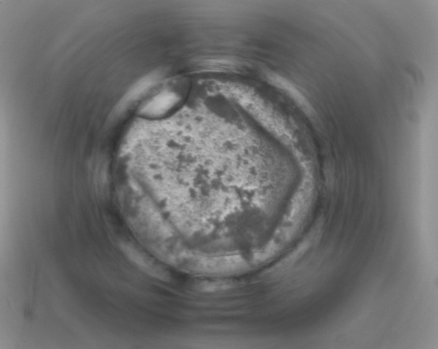 X0000113641403200910162027