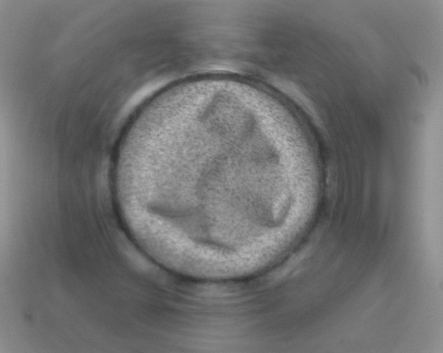 X0000113641404200910162027