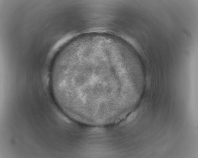 X0000113641406200910162027