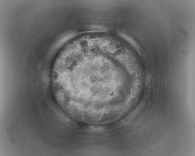 X0000113641407200910162027