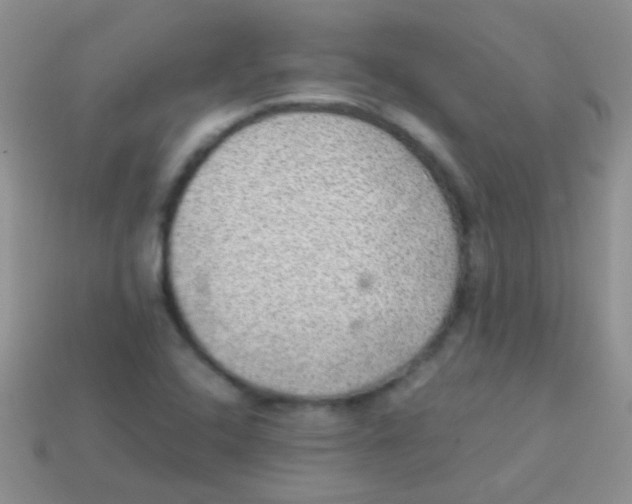 X0000113641408200910162027