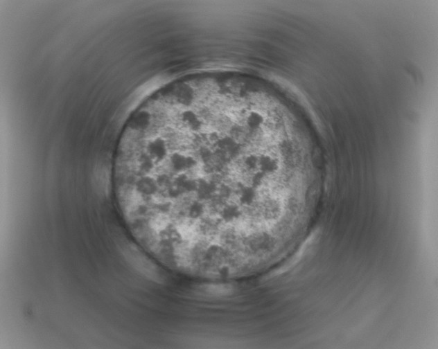 X0000113641409200910162027