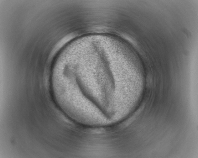 X0000113641410200910162027