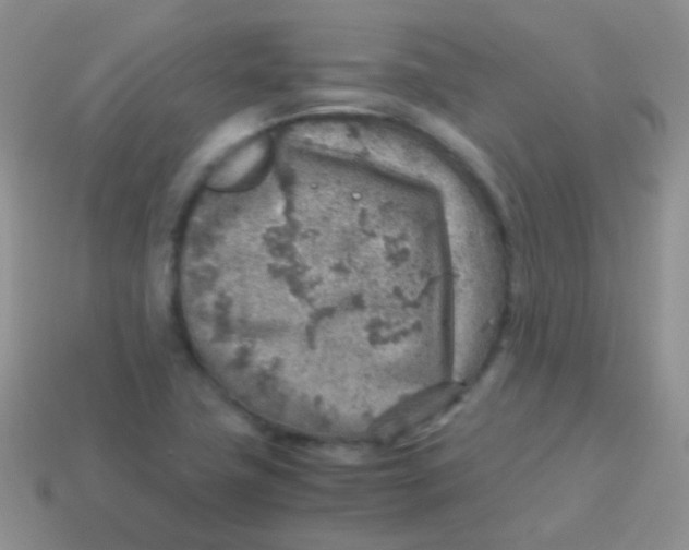 X0000113641411200910162027