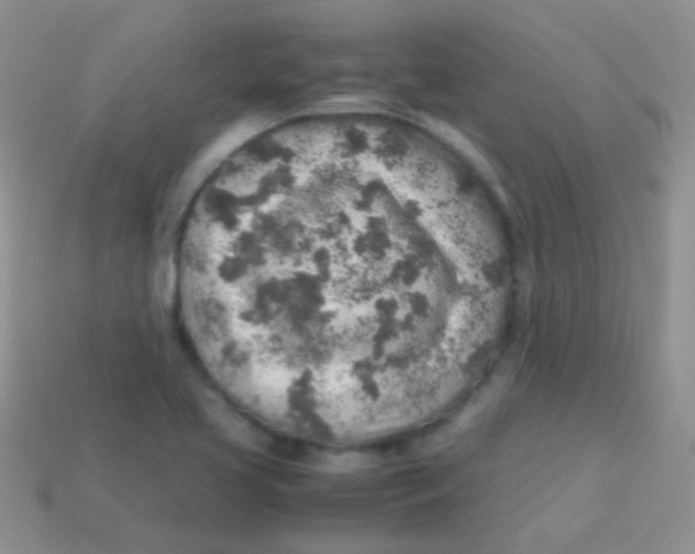 X0000113641413200910162027