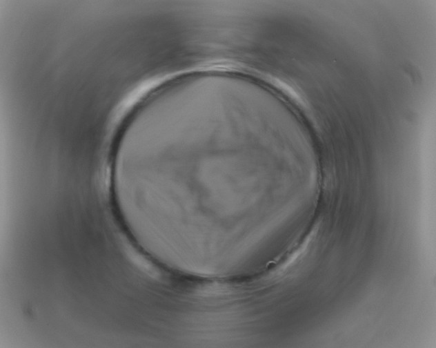 X0000113641414200910162027