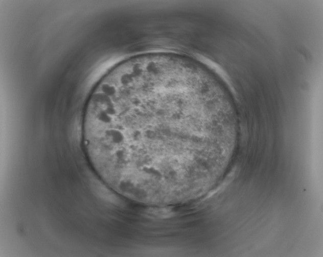 X0000113641415200910162027