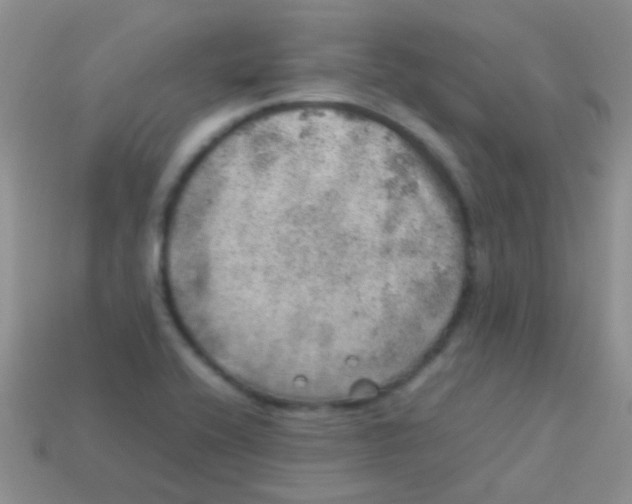 X0000113641416200910162027