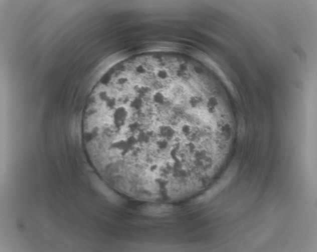 X0000113641417200910162027