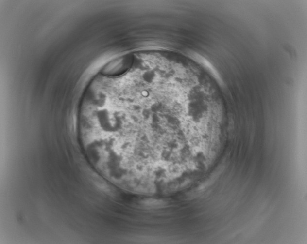 X0000113641419200910162027