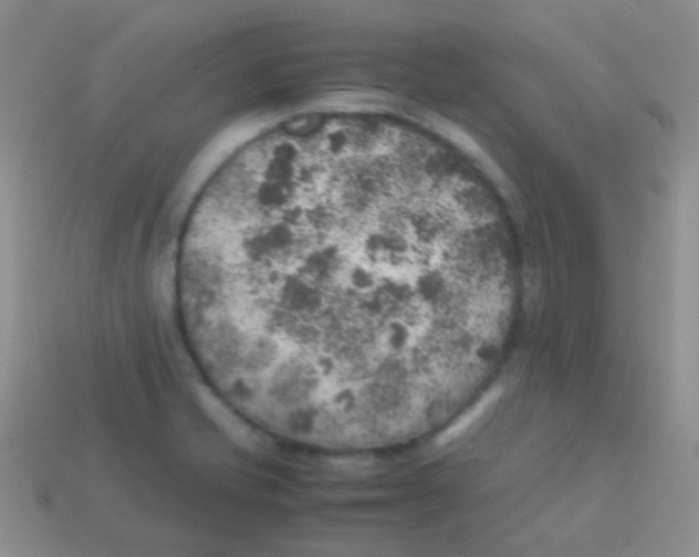 X0000113641421200910162027