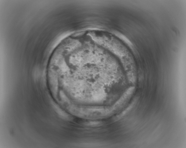 X0000113641423200910162027